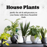 plants house