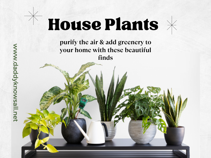 plants house